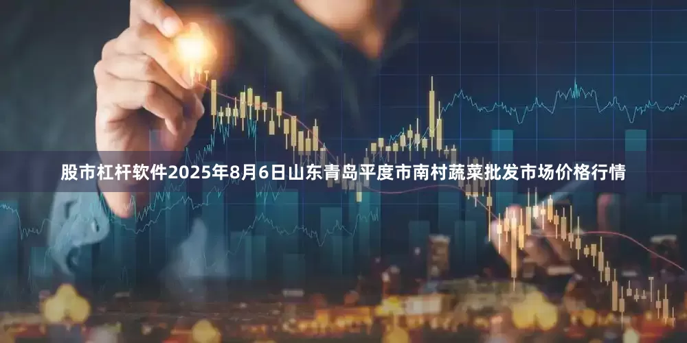 股市杠杆软件2025年8月6日山东青岛平度市南村蔬菜批发市场价格行情